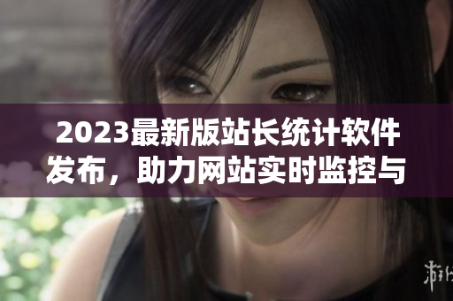 2023最新版站长统计软件发布，助力网站实时监控与数据分析