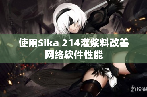 使用Sika 214灌浆料改善网络软件性能
