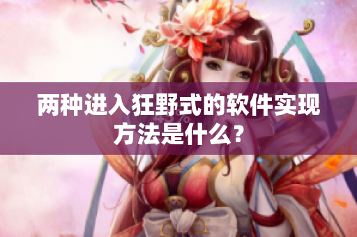 两种进入狂野式的软件实现方法是什么？