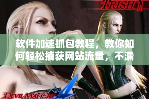 软件加速抓包教程，教你如何轻松捕获网站流量，不漏一只青蛙