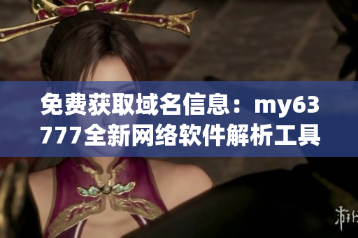 免费获取域名信息：my63777全新网络软件解析工具