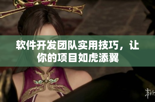 软件开发团队实用技巧，让你的项目如虎添翼