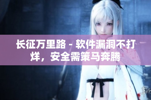 长征万里路 - 软件漏洞不打烊，安全需策马奔腾