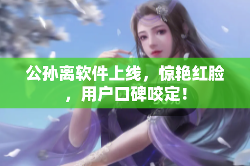 公孙离软件上线，惊艳红脸，用户口碑咬定！