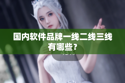 国内软件品牌一线二线三线有哪些？