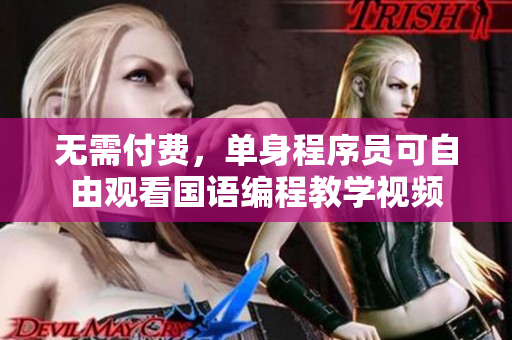 无需付费，单身程序员可自由观看国语编程教学视频