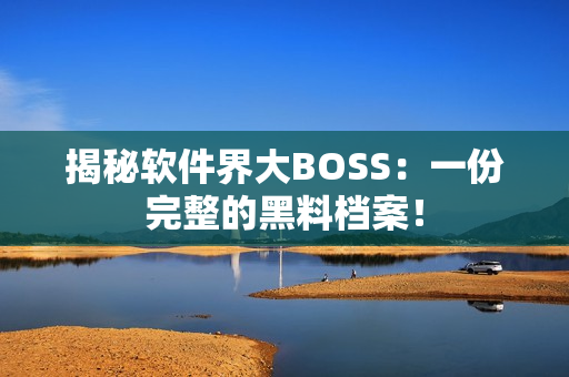 揭秘软件界大BOSS：一份完整的黑料档案！