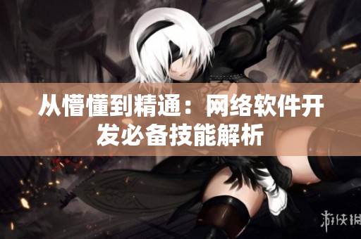 从懵懂到精通：网络软件开发必备技能解析