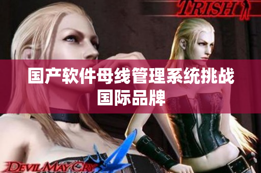 国产软件母线管理系统挑战国际品牌