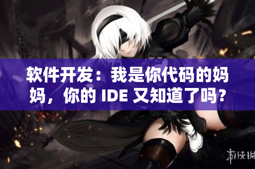 软件开发：我是你代码的妈妈，你的 IDE 又知道了吗？