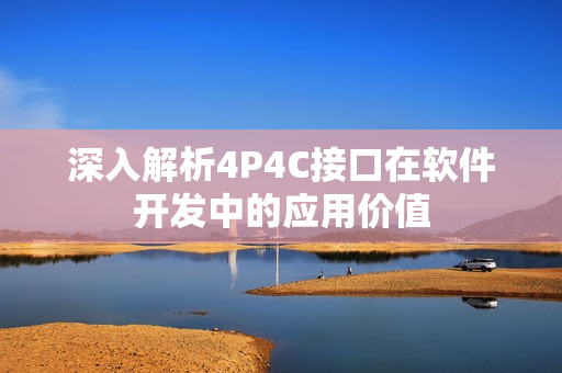 深入解析4P4C接口在软件开发中的应用价值