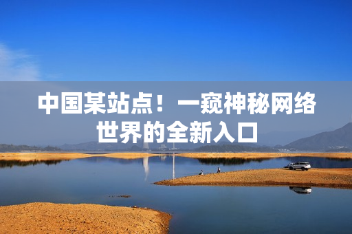 中国某站点！一窥神秘网络世界的全新入口