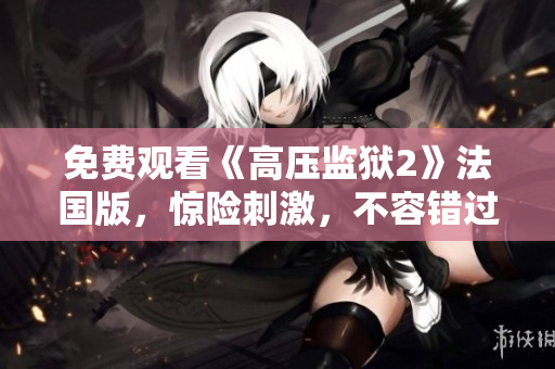 免费观看《高压监狱2》法国版，惊险刺激，不容错过！