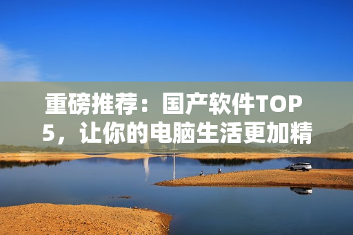 重磅推荐：国产软件TOP 5，让你的电脑生活更加精彩！