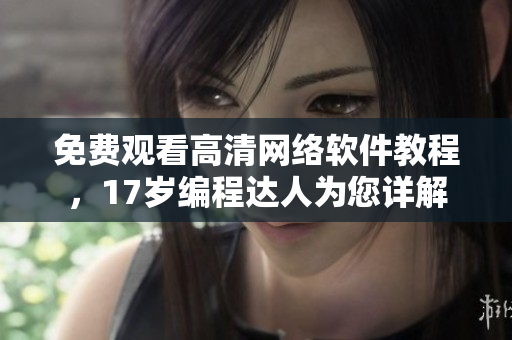 免费观看高清网络软件教程，17岁编程达人为您详解