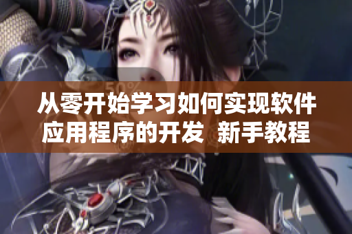 从零开始学习如何实现软件应用程序的开发  新手教程