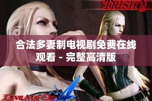 合法多妻制电视剧免费在线观看 - 完整高清版