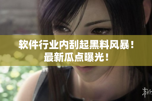软件行业内刮起黑料风暴！最新瓜点曝光！