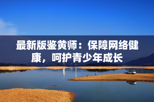 最新版鉴黄师：保障网络健康，呵护青少年成长