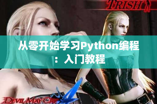 从零开始学习Python编程：入门教程