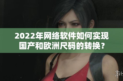 2022年网络软件如何实现国产和欧洲尺码的转换？