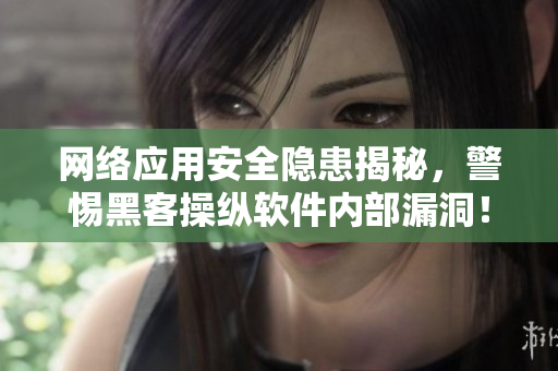 网络应用安全隐患揭秘，警惕黑客操纵软件内部漏洞！