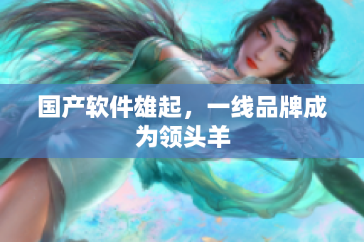 国产软件雄起，一线品牌成为领头羊