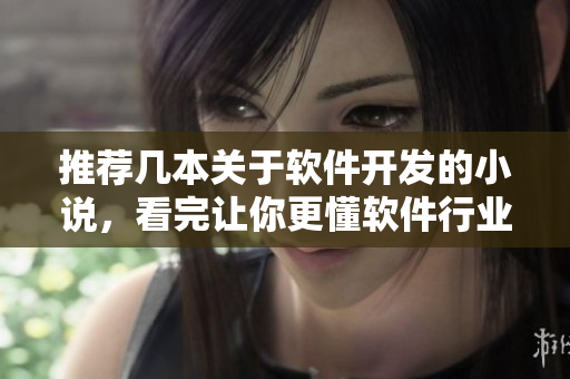 推荐几本关于软件开发的小说，看完让你更懂软件行业