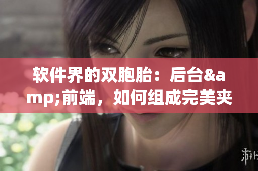 软件界的双胞胎：后台&前端，如何组成完美夹心饼干？