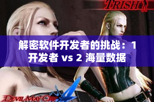 解密软件开发者的挑战：1开发者 vs 2 海量数据