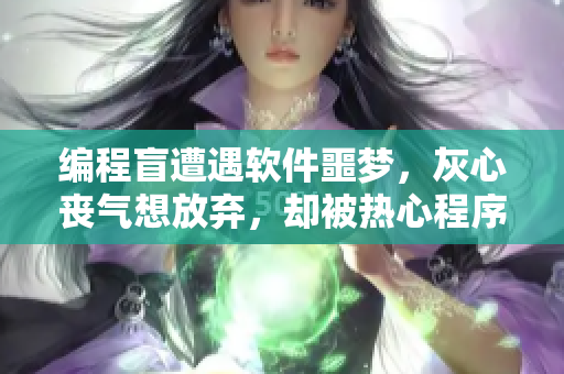 编程盲遭遇软件噩梦，灰心丧气想放弃，却被热心程序员指引出路