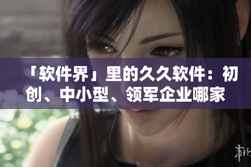 「软件界」里的久久软件：初创、中小型、领军企业哪家强？