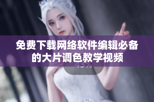 免费下载网络软件编辑必备的大片调色教学视频