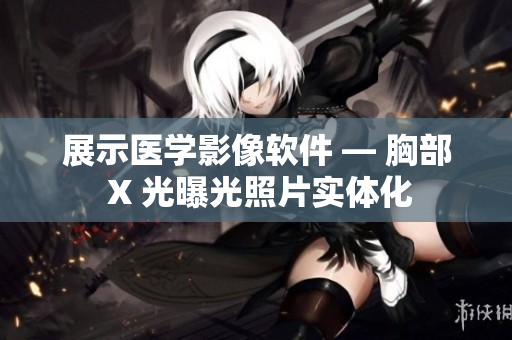 展示医学影像软件 — 胸部 X 光曝光照片实体化