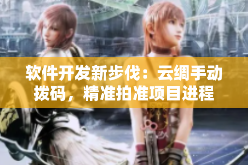 软件开发新步伐：云绸手动拨码，精准拍准项目进程