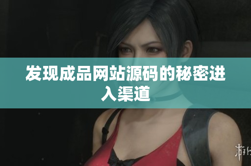 发现成品网站源码的秘密进入渠道