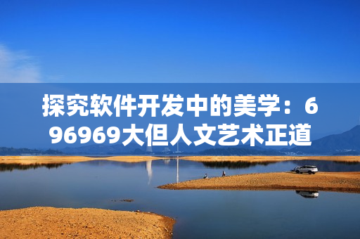探究软件开发中的美学：696969大但人文艺术正道