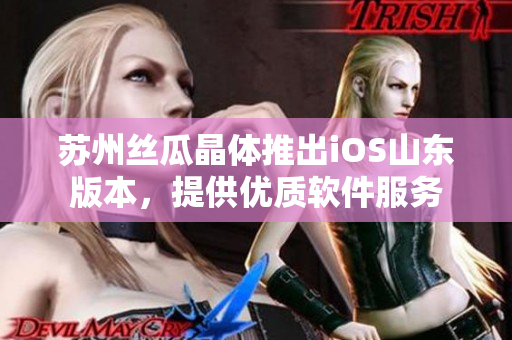 苏州丝瓜晶体推出iOS山东版本，提供优质软件服务