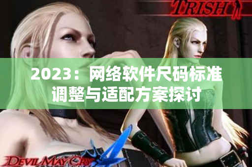 2023：网络软件尺码标准调整与适配方案探讨