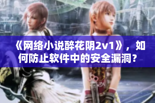 《网络小说醉花阴2v1》，如何防止软件中的安全漏洞？