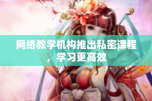 网络教学机构推出私密课程，学习更高效