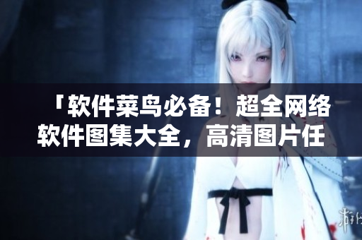 「软件菜鸟必备！超全网络软件图集大全，高清图片任你下载！」