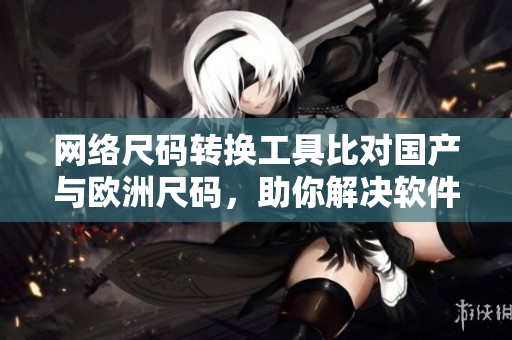 网络尺码转换工具比对国产与欧洲尺码，助你解决软件尺寸难题