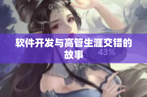 软件开发与高管生涯交错的故事