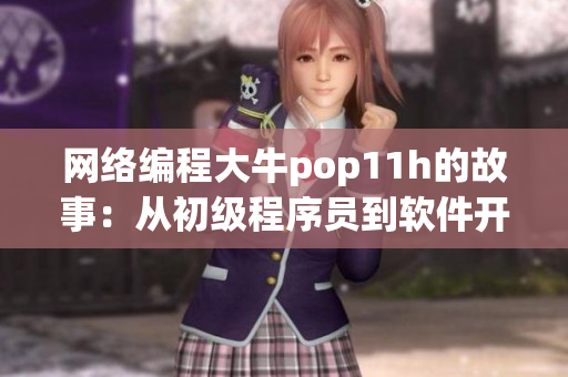 网络编程大牛pop11h的故事：从初级程序员到软件开发专家