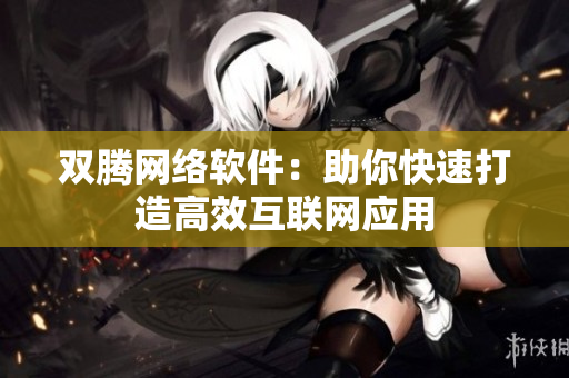 双腾网络软件：助你快速打造高效互联网应用