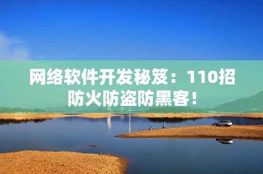 网络软件开发秘笈：110招防火防盗防黑客！
