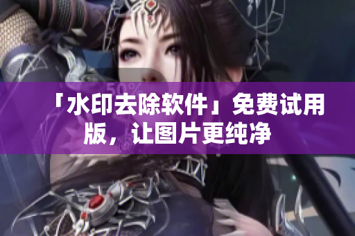 「水印去除软件」免费试用版，让图片更纯净