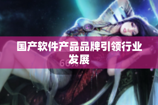 国产软件产品品牌引领行业发展