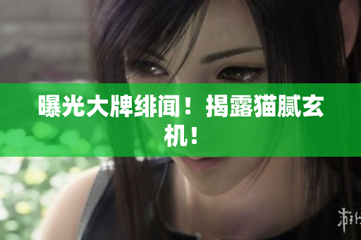 曝光大牌绯闻！揭露猫腻玄机！